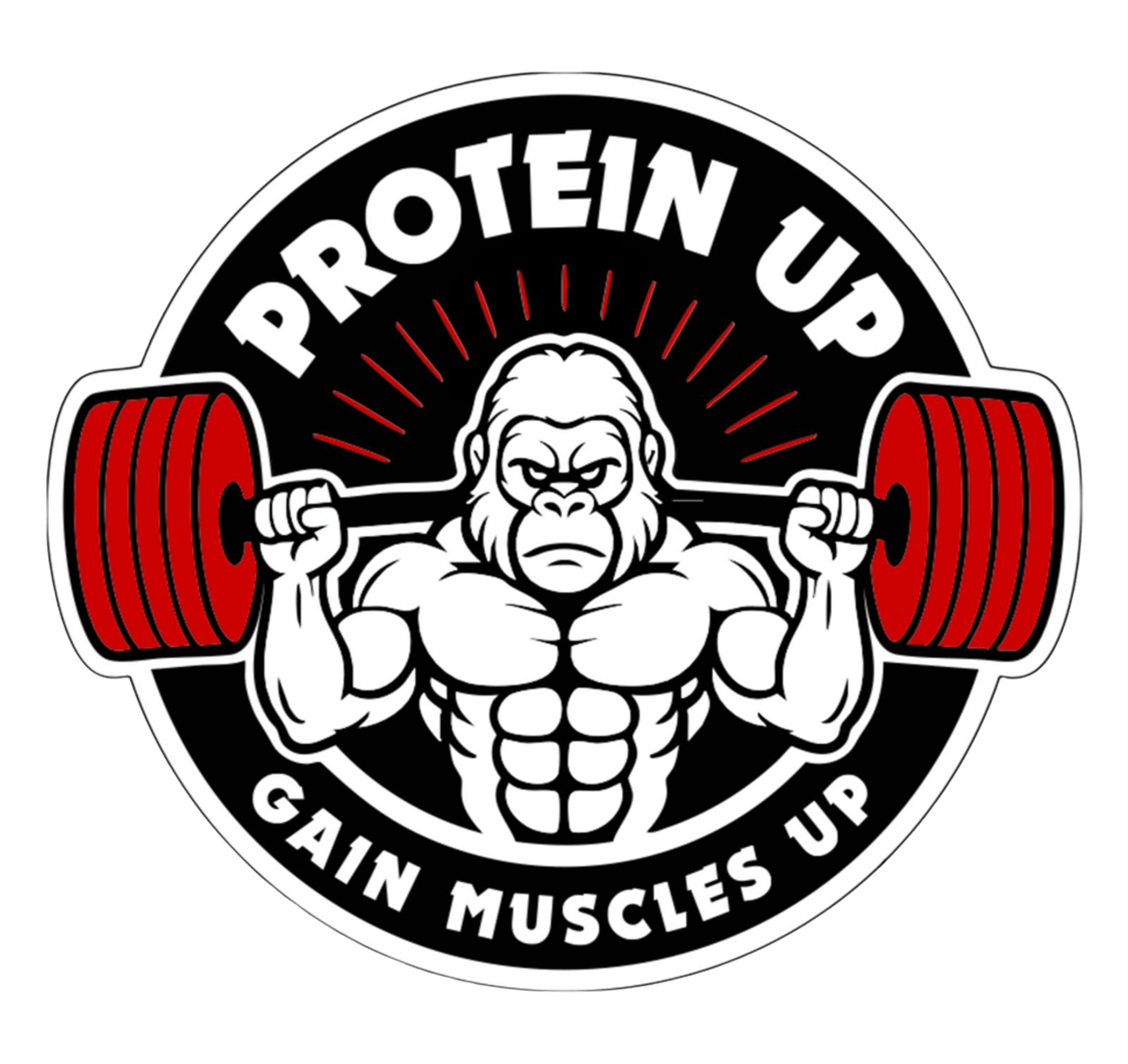 protein up